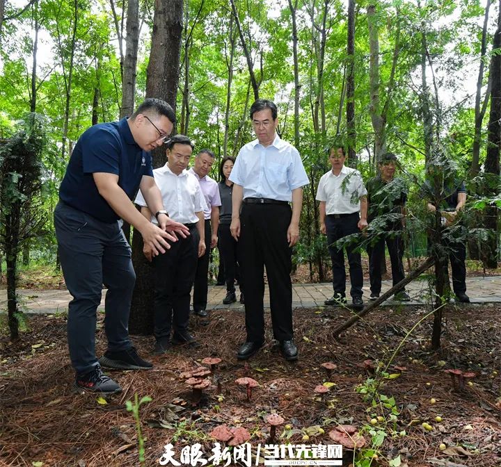 李炳军在黔西南州调研生态文明建设工作并开展巡河巡林