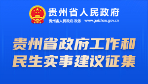 贵州省政府工作和民生实事建议征集