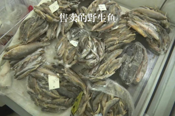 600-4 图4 2021年12月6日,督察组现场随机抽查发现,保护区附近餐馆仍然存在非法经营野生河鱼的问题.jpg